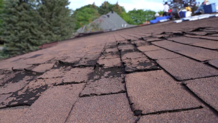 Best Roof Maintenance and Cleaning  in Bellport, NY