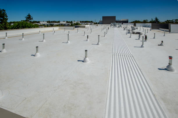 Best Roof Coating and Sealing  in Bellport, NY